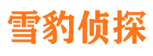 湾里市调查公司